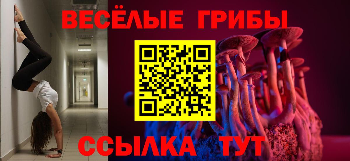 Галлюциногенные грибы MAGIC MUSHROOMS  Вход с VPN  Донецк 